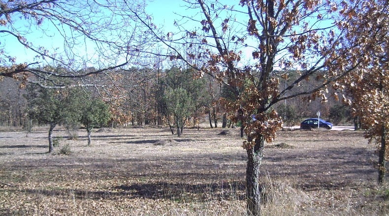 Segovia - Fresno de Cantespino - 2500m2
