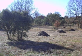 Fresno de Cantespino 2500&nbsp;m²