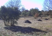 Suelo urbano en venta en la Vereda de Aldeanueva, Fresno de Cantespino, ref: TR106744 foto