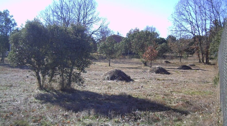 Segovia - Fresno de Cantespino - 2500m2