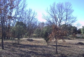 Fresno de Cantespino 2500&nbsp;m²