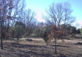 Suelo urbano en venta en la Vereda de Aldeanueva, Fresno de Cantespino, ref: TR106744 foto