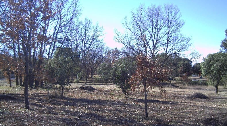 Segovia - Fresno de Cantespino - 2500m2
