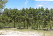 Masia amb terreny en venda a la El Saball, Planes, ref.: TR106740 foto