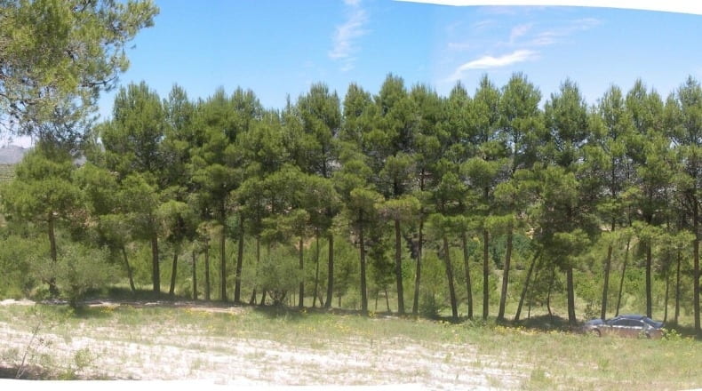 Alicante - Planes - 380000m2