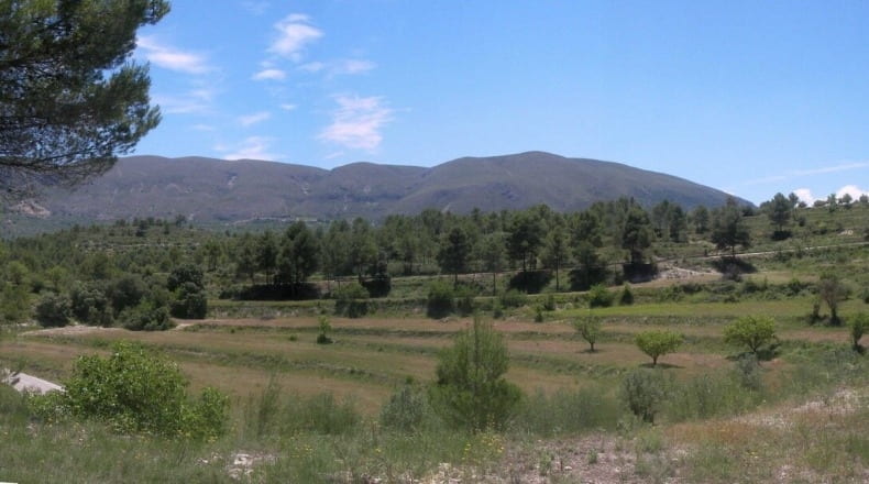 Alicante - Planes - 380000m2