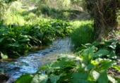 Finca rústica en venda a la Barrinada 22, la Torre de les Maçanes, ref.: TR106746 foto