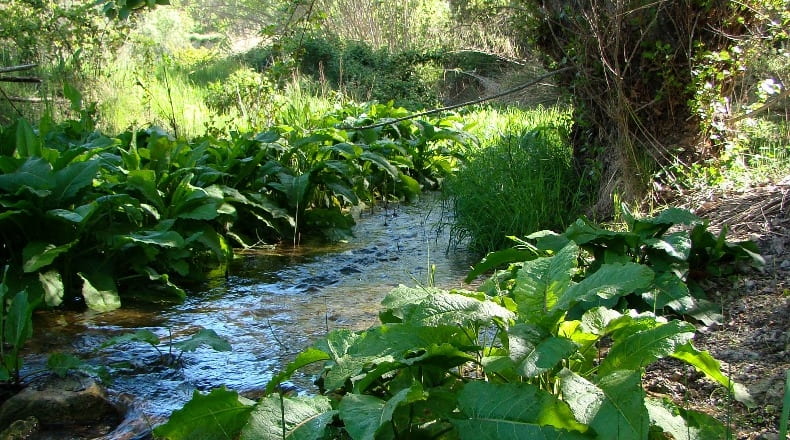 Alicante - Torremanzanas - 650000m2