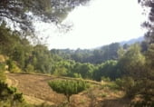 Finca rústica en venda a la Barrinada 22, la Torre de les Maçanes, ref.: TR106746 foto
