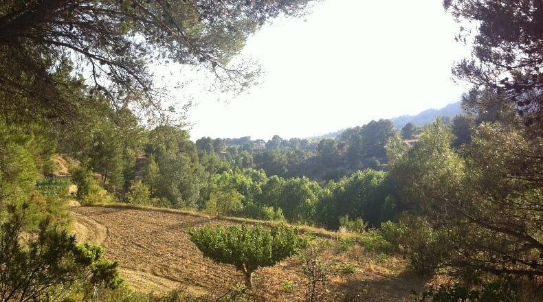 Alicante - Torremanzanas - 650000m2