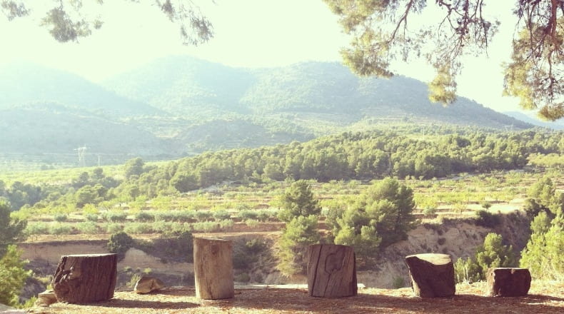 Alicante - Torremanzanas - 650000m2