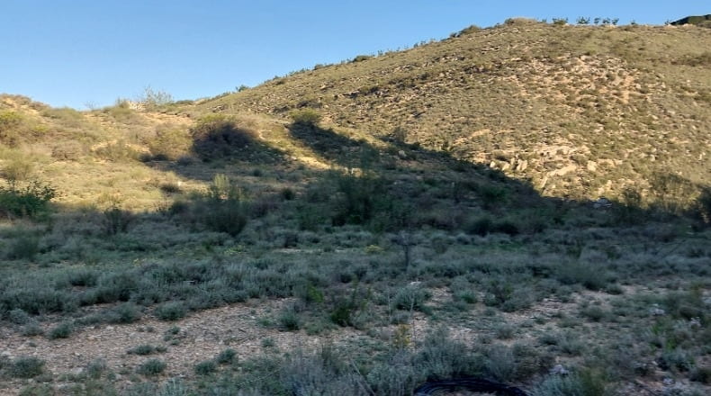 Huesca - Fraga - 15000m2