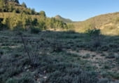 Land suitable for development for sale on Omprio, Fraga, ref: TR62570 photo
