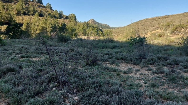 Huesca - Fraga - 15000m2