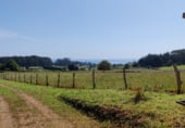 Finca rústica en venta en la Vilasindre, ref: TR106841 foto