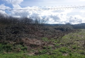 A Tarroeira 3025&nbsp;m²