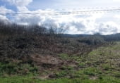 Land suitable for development for sale on A Tarroeira, ref: TR106939 photo