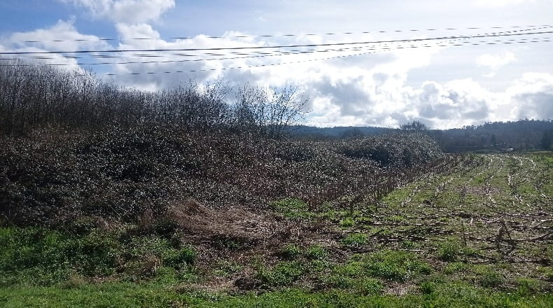 La Corunya - A Tarroeira - 3025m2