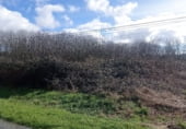 Land suitable for development for sale on A Tarroeira, ref: TR106939 photo