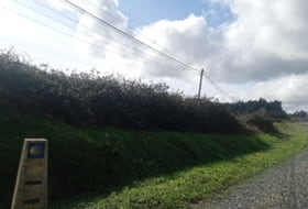 A Tarroeira 3025&nbsp;m²