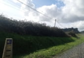 Land suitable for development for sale on A Tarroeira, ref: TR106939 photo