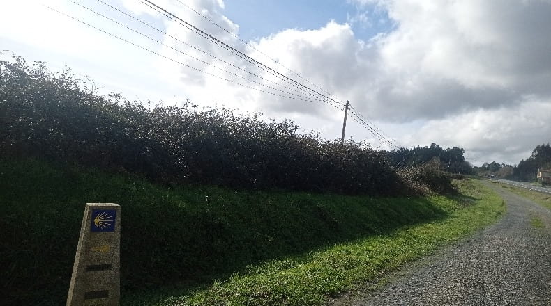 La Corunya - A Tarroeira - 3025m2