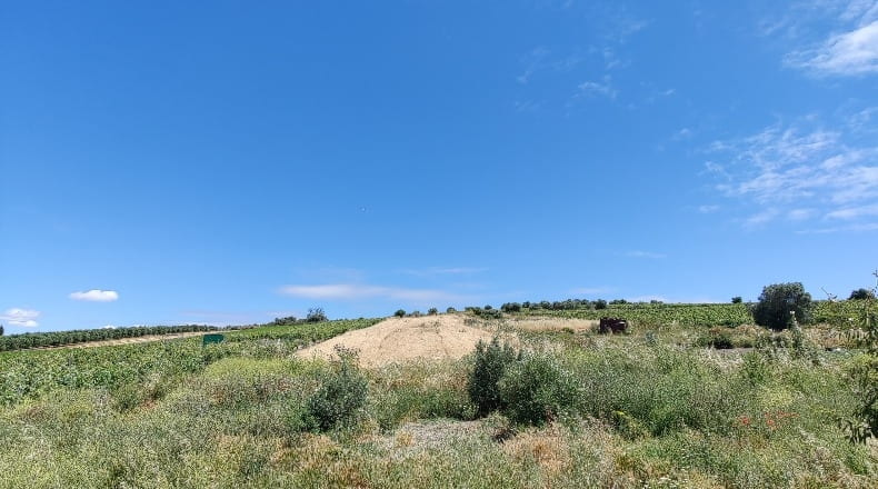 Cádiz - Trebujena - 2417m2