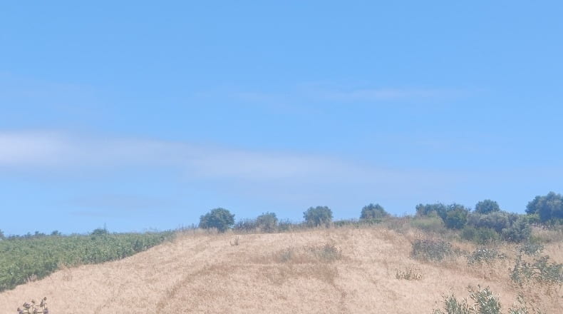 Cádiz - Trebujena - 2417m2