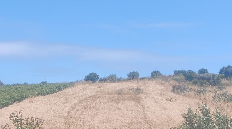 Cádiz - Trebujena - 2417m2