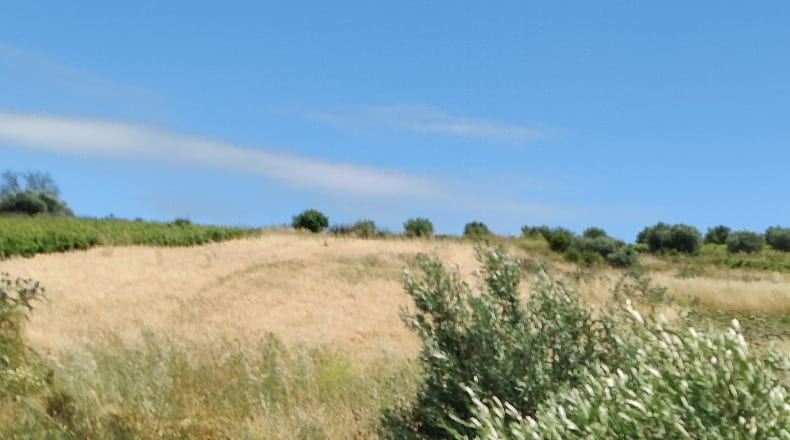 Cádiz - Trebujena - 2417m2