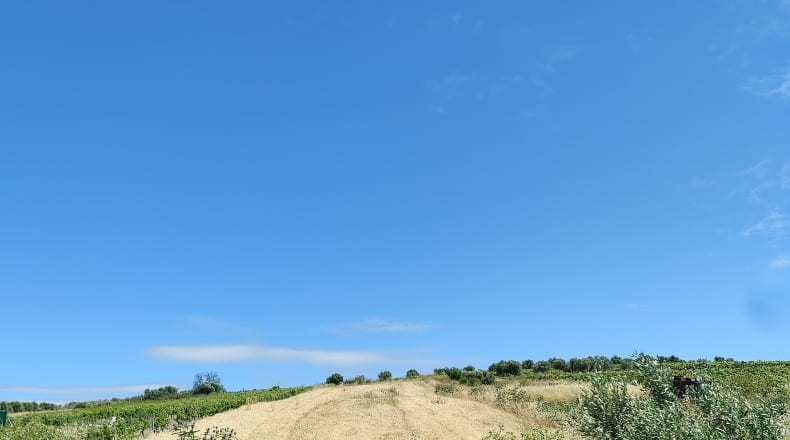 Cádiz - Trebujena - 2417m2