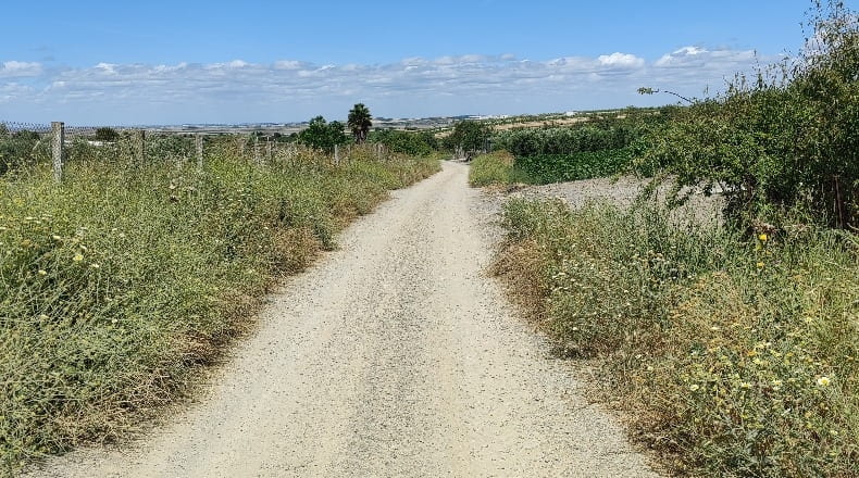 Cádiz - Trebujena - 2417m2