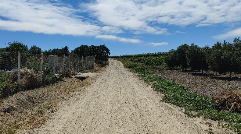 Cádiz - Trebujena - 2417m2
