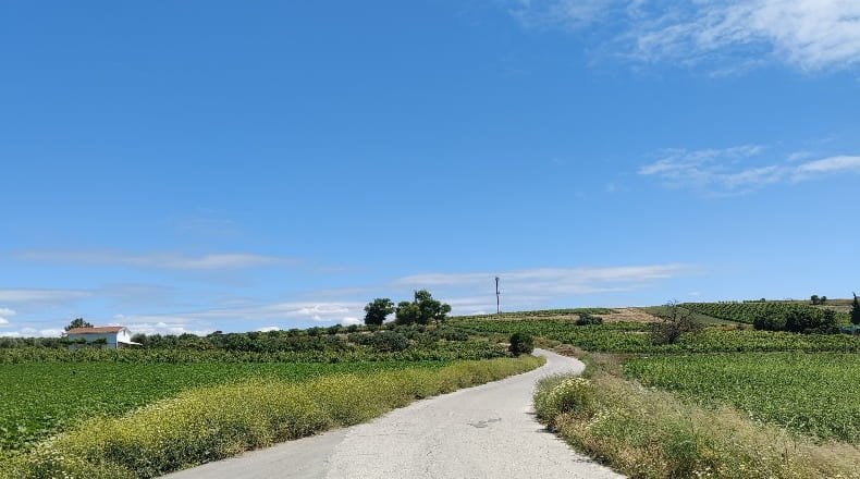 Cádiz - Trebujena - 2417m2