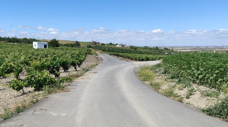 Cádiz - Trebujena - 2417m2