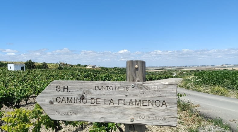 Cádiz - Trebujena - 2417m2