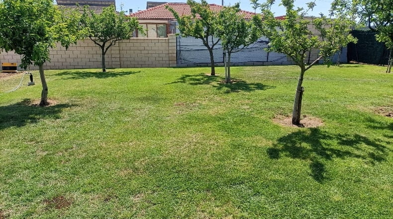 La Rioja - Cuzcurrita de Río Tirón - 601m2