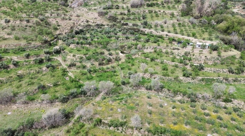 Granada - Mecina - 40000m2