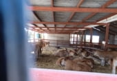 Finca rústica en venda a la Camino de la Alcoraya, Alacant, ref.: TR107013 foto
