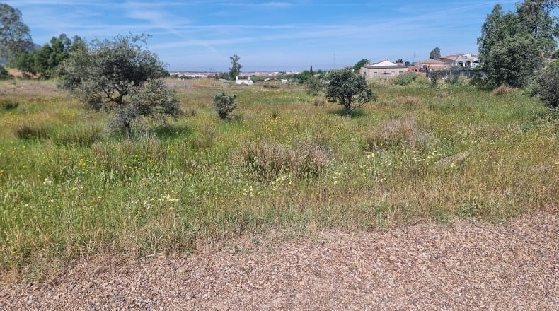 Badajoz - Calamonte - 15000m2