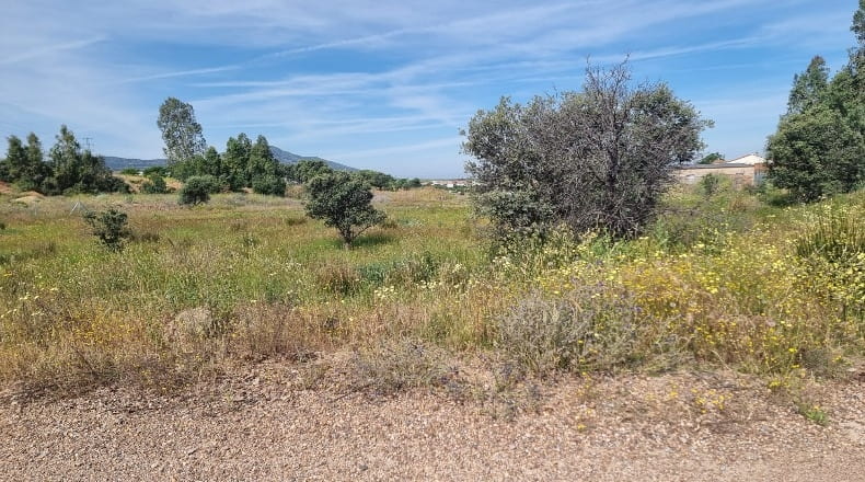 Badajoz - Calamonte - 15000m2