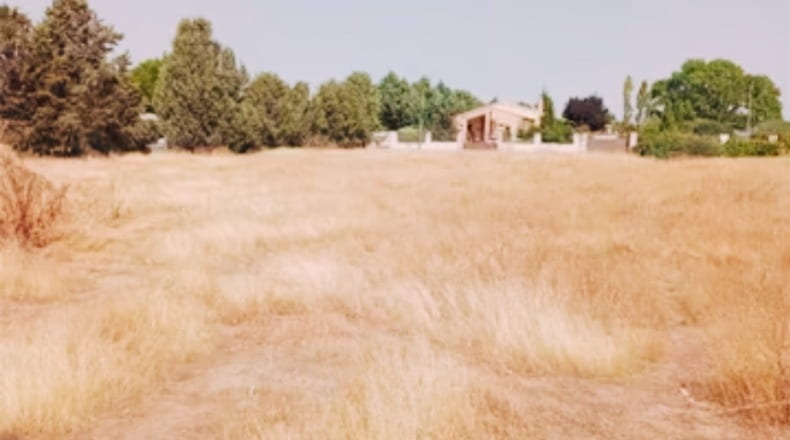 Toledo - Novés - 1300m2