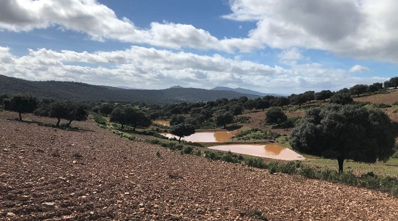 Ciudad Real - Almadenejos - 11000000m2