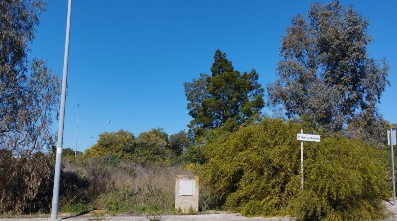 Sevilla - Aznalcóllar - 4855m2