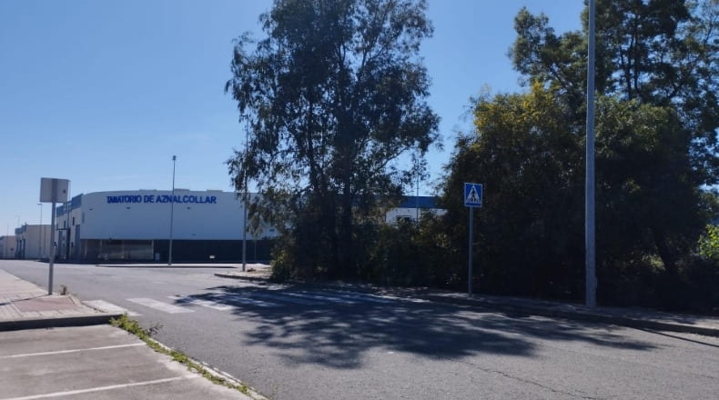 Sevilla - Aznalcóllar - 4855m2