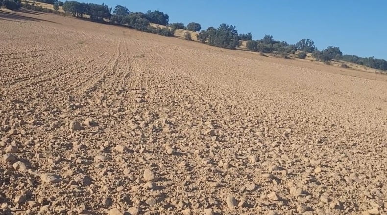Segovia - Castillejo de Mesleón - 20000m2