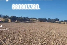Castillejo de Mesleón 20000&nbsp;m² 
