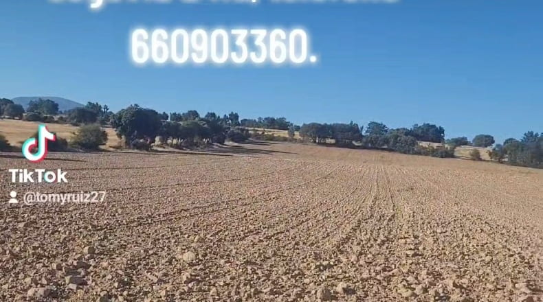Segovia - Castillejo de Mesleón - 20000m2