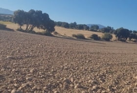 Castillejo de Mesleón 20000&nbsp;m² 