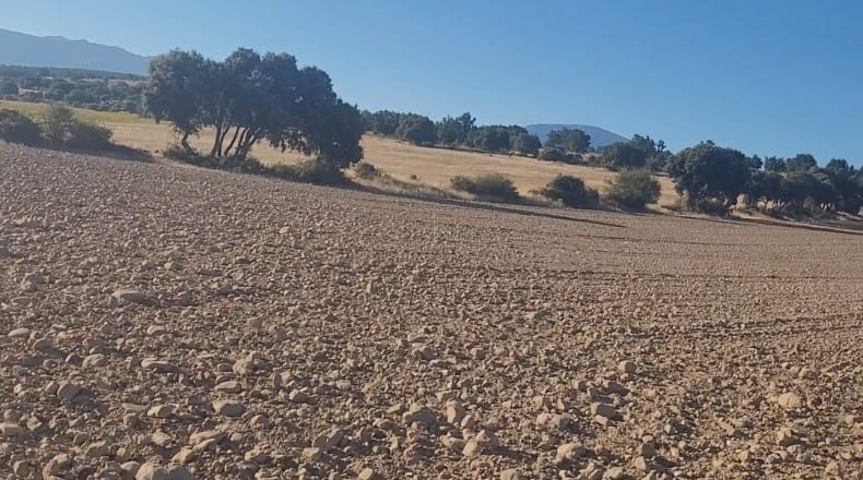 Segovia - Castillejo de Mesleón - 20000m2